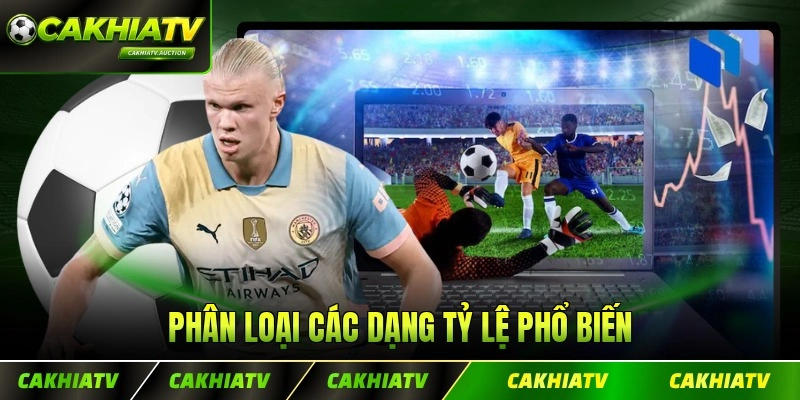 Phân loại các dạng tỷ lệ phổ biến