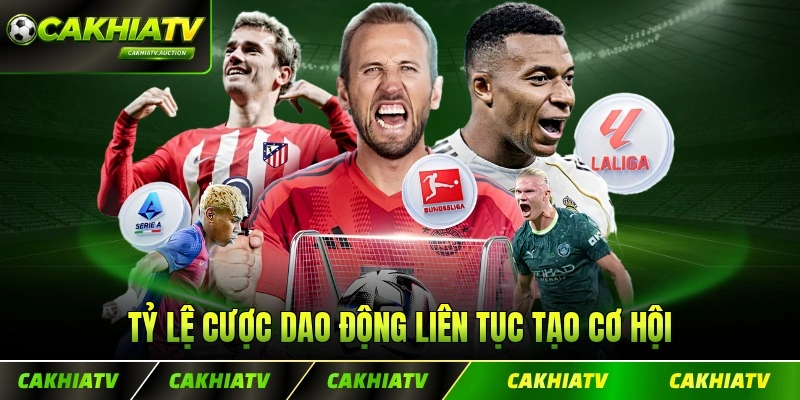 Tỷ lệ cược dao động liên tục tạo cơ hội cho mọi người theo dõi muốn thử